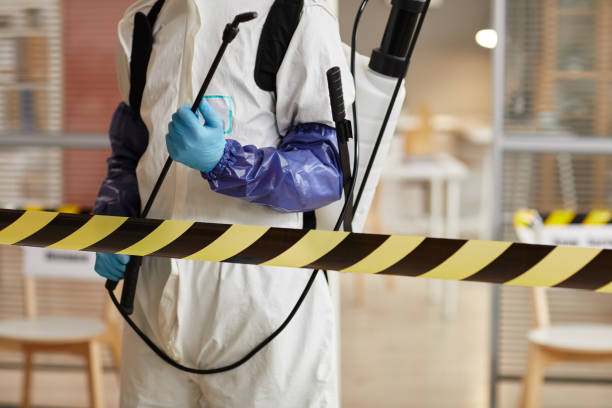 Professional Sewage Cleanup technician working in Allentown, PA